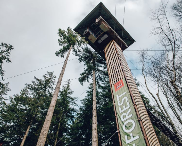the platform for the plummet free fall experience at zip world high up above the trees