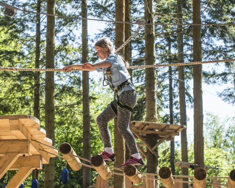 a child making their way across a rope bridge high in the trees on a tree hoppers experience at zip world