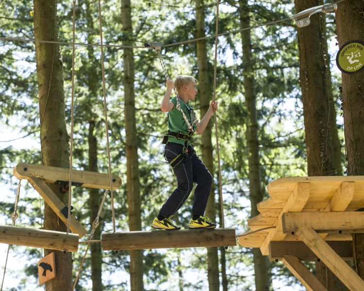 a child making their way across an obstacle course high in the trees on a tree hoppers experience at zip world