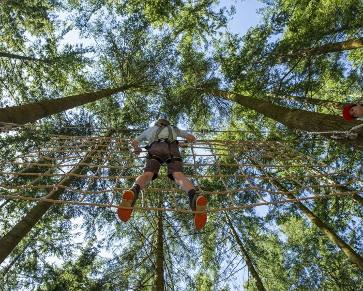a child climbing up rope netting high in the trees on a tree hoppers experience at zip world