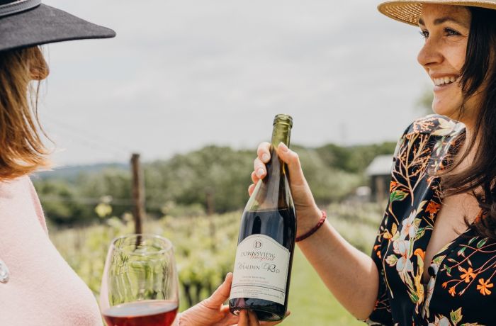 vineyard tour and wine tasting experience in sussex