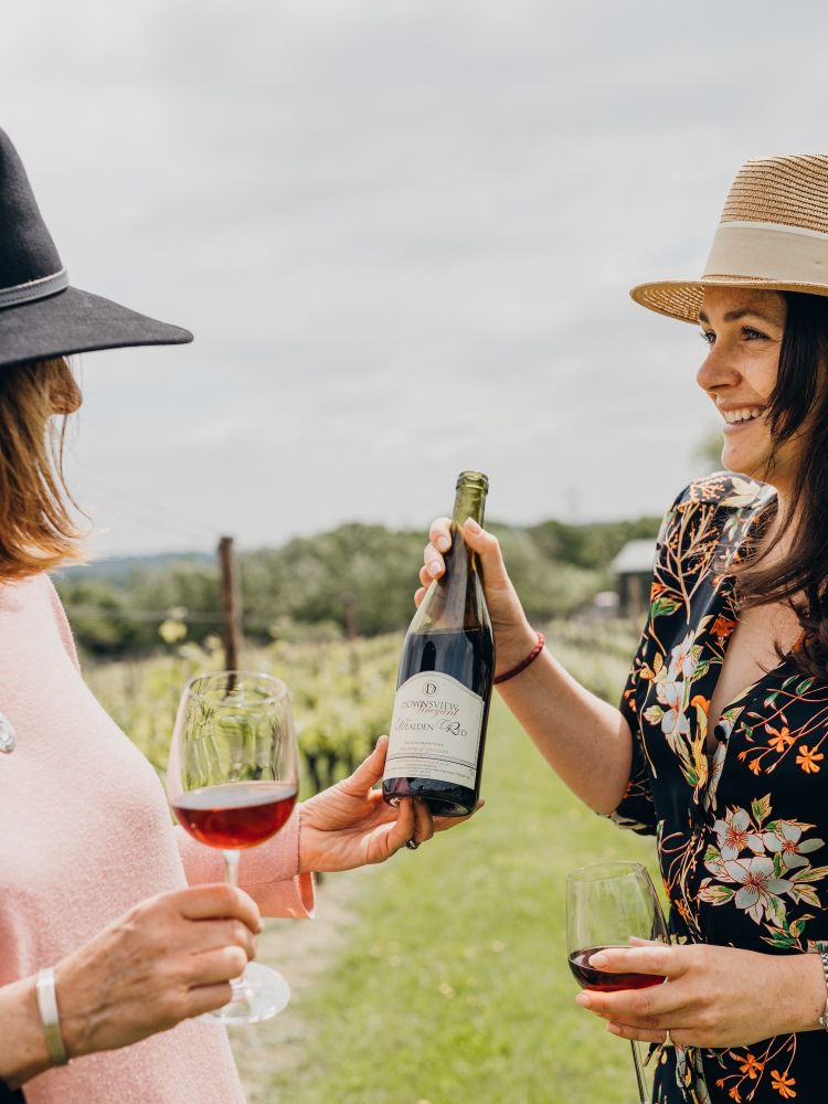 vineyard tour and wine tasting experience in sussex