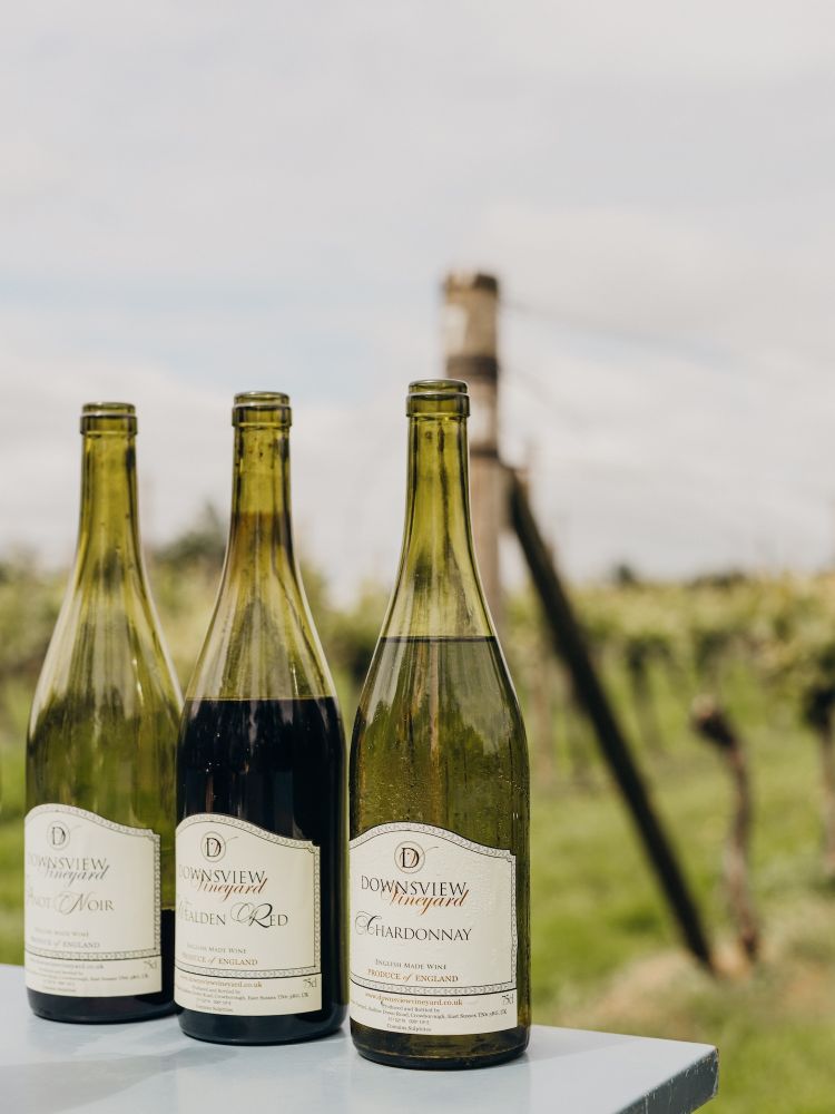 vineyard tour and wine tasting experience in sussex
