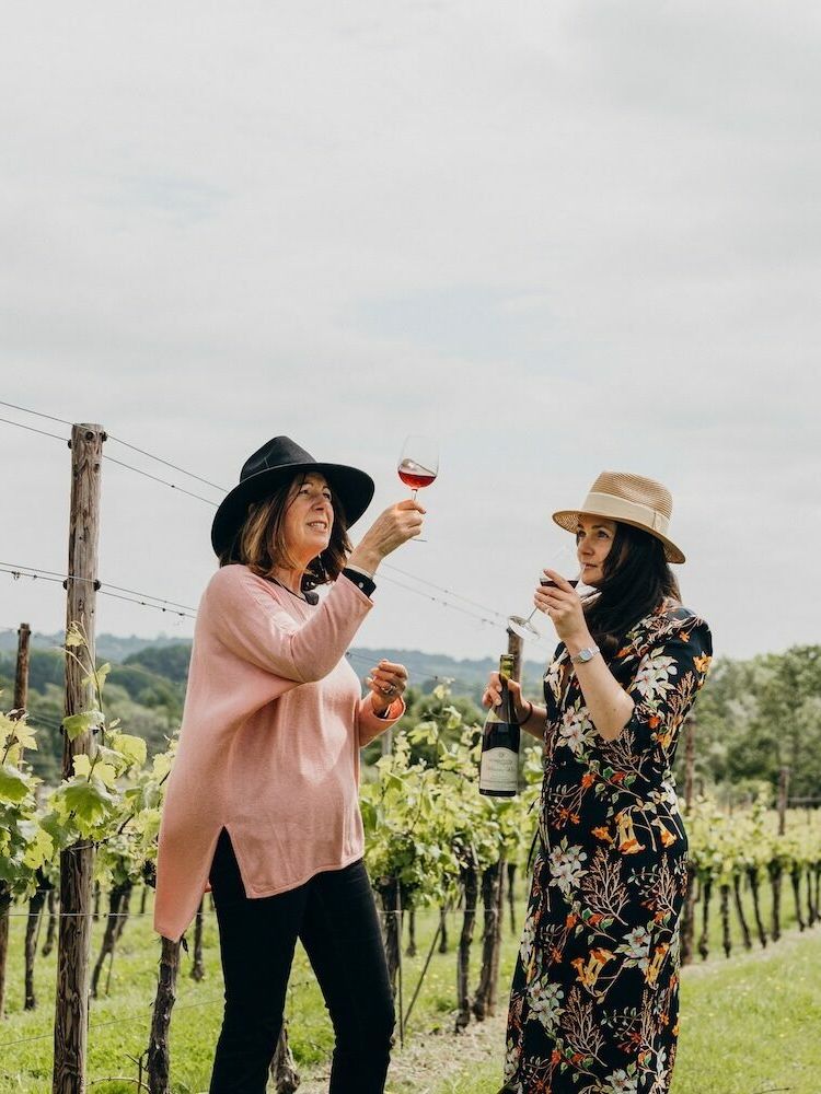vineyard tour and wine tasting experience in sussex