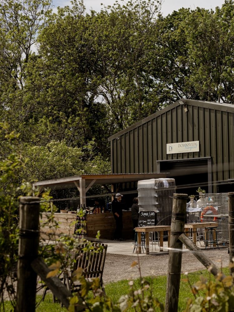 vineyard tour and wine tasting experience in sussex