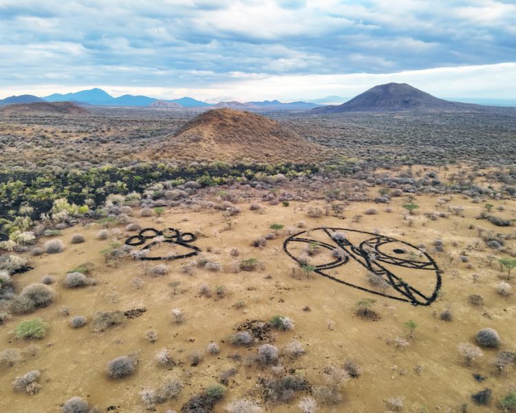 art drawn on african plains seen on a remote drone flying experience