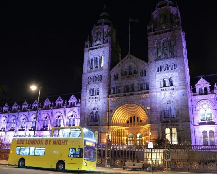 london bus tour by night
