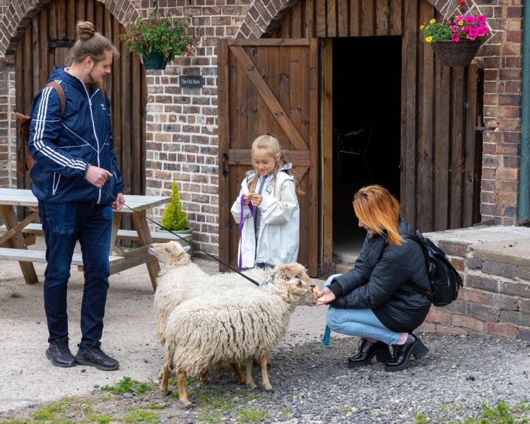 family with sheep for sheep trekking experience