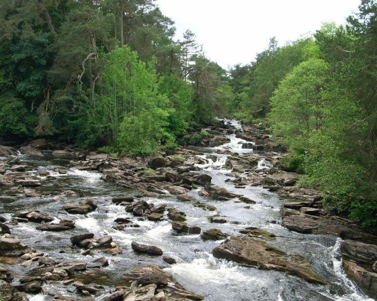 stirling castle, the kelpies and loch lomond day tour from edinburgh