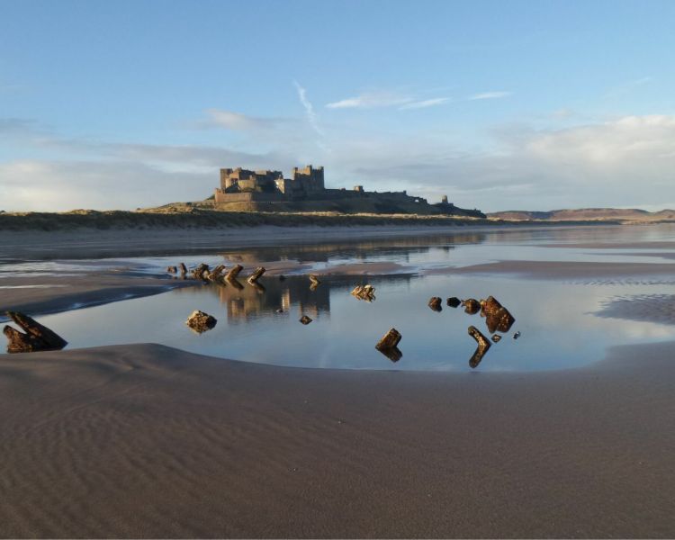 alnwick castle day tour from edinburgh