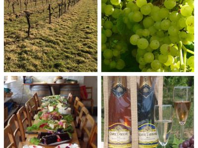 a four photo montage of a vineyard, grapes, wine bottles and dining table illustrating carr taylor gifts for couples