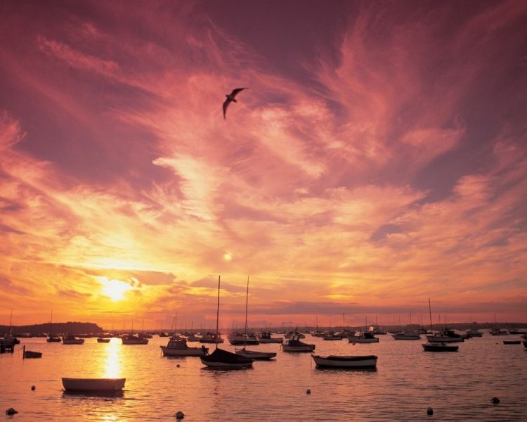 poole harbour