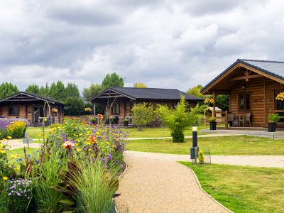 overnight lodge stay at the big cat sanctuary