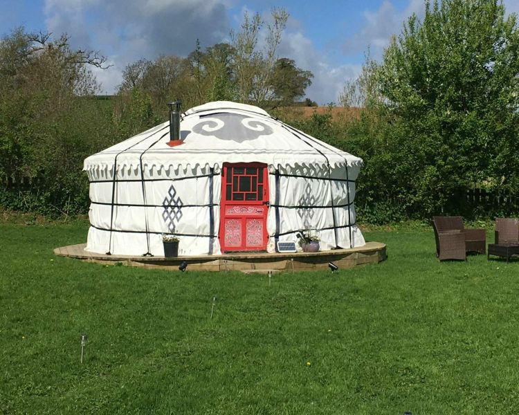 one of the devon yurts in a  field