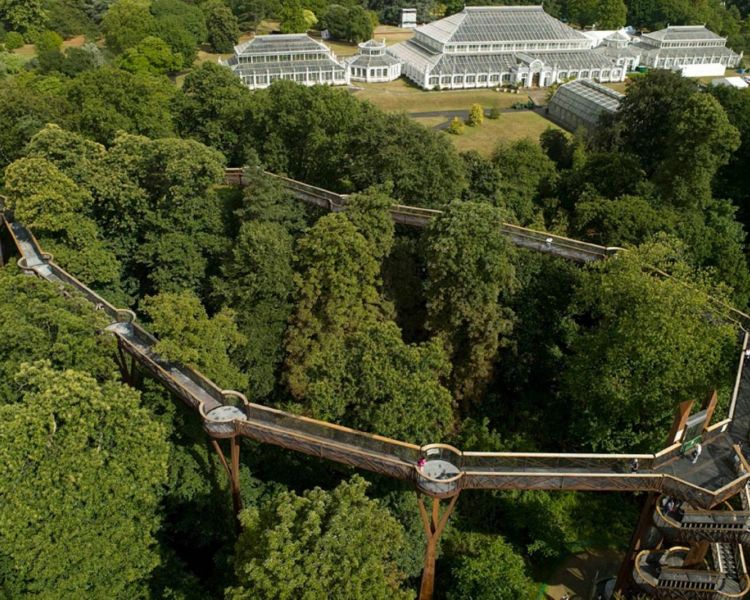 Kew treetop walkway
