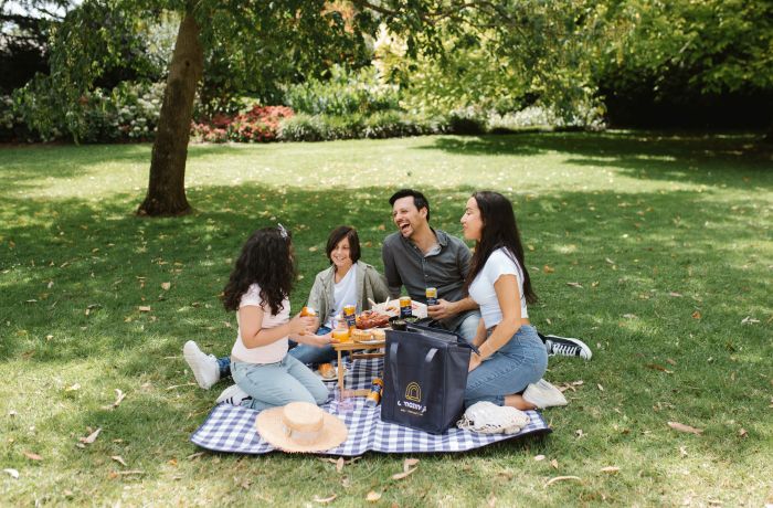mystery picnic day out