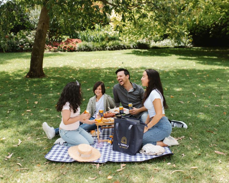 mystery picnic day out