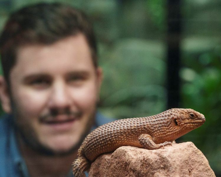 Amphibians at london zoo