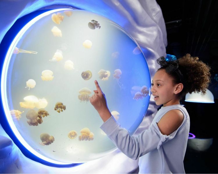 Sea life centre exhibition