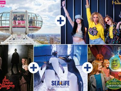 merlin's magical pass for five attractions