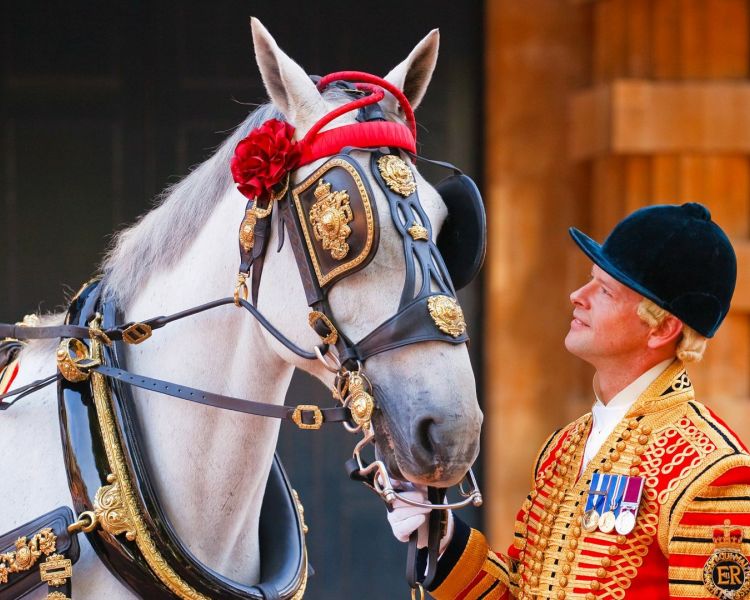 the royal mews at buckingham palace entrance