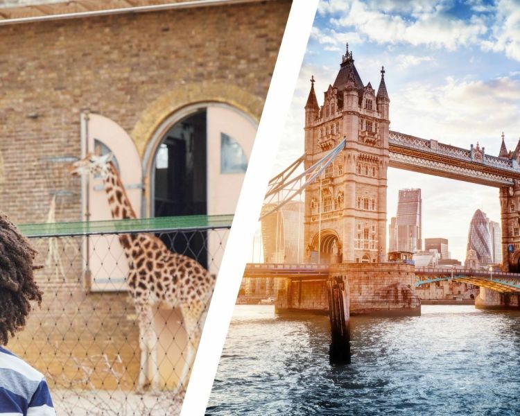 London city break with tickets to london zoo