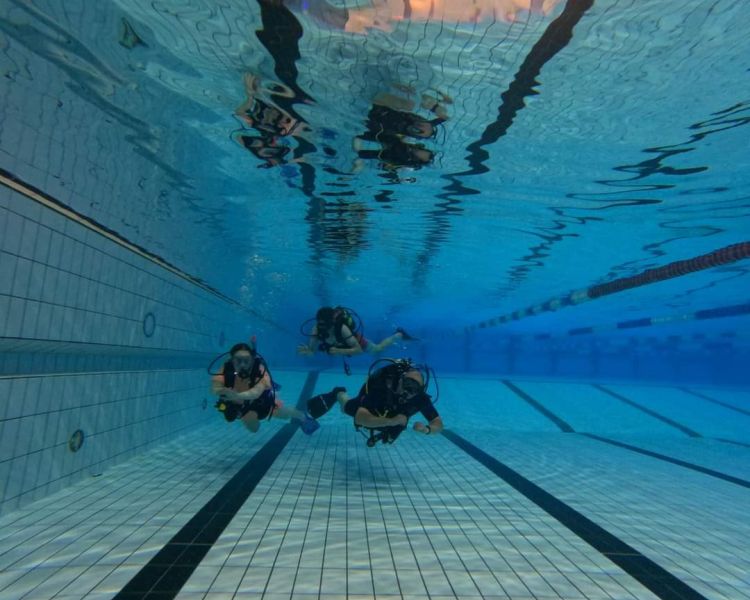 discover scuba diving experience