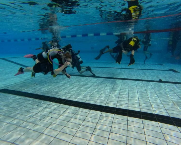 discover scuba diving experience