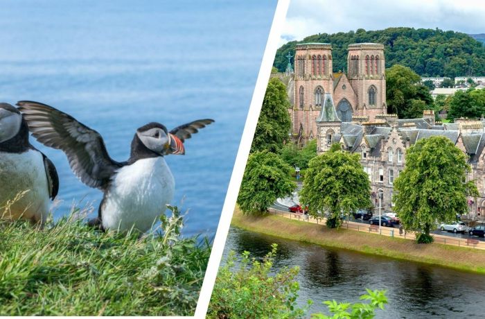 Inverness short break for two with moray coast puffins and speyside whisky coach tour