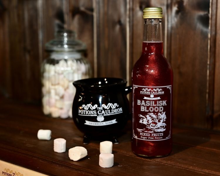 magical potion experience at the rose street covenstead In edinburgh