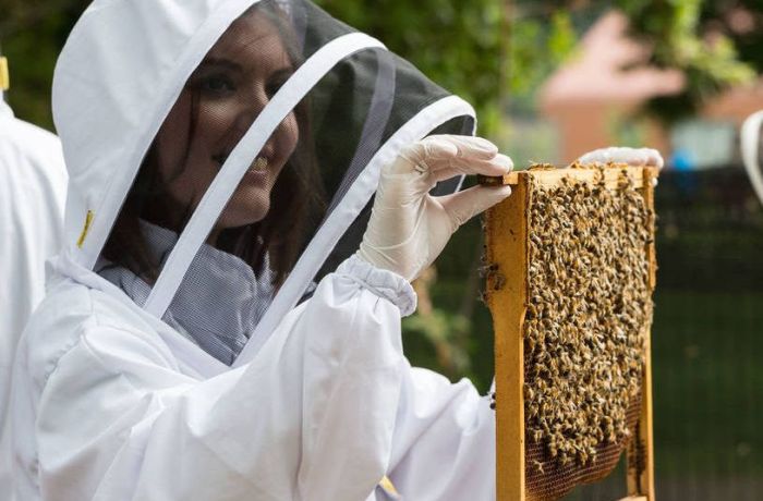 Beekeeping London