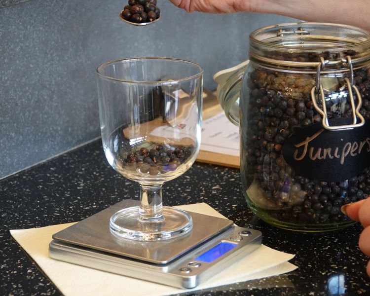 juniper berries on gin making experience in shropshire