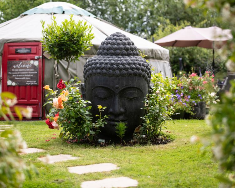 the relaxing garden area at the natural light wellness spa
