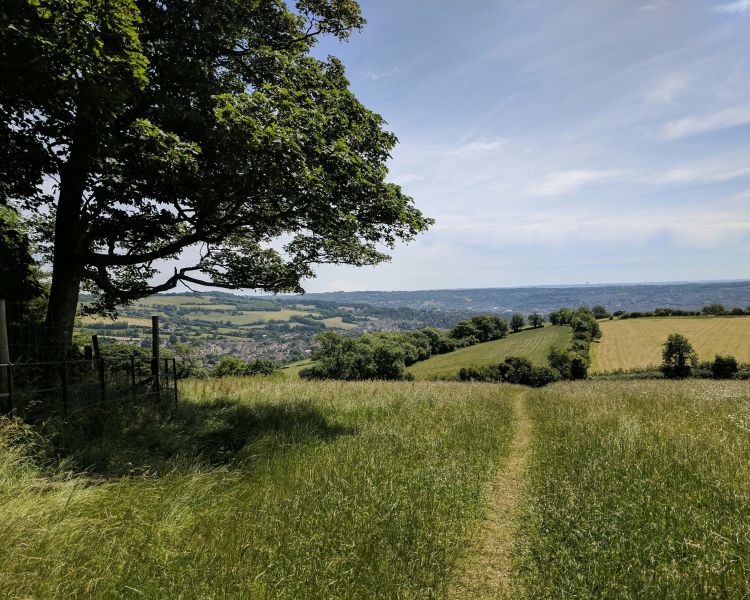 View over the cotswolds countryside