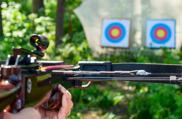 Crossbow experience