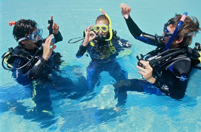 Padi discover scuba diving