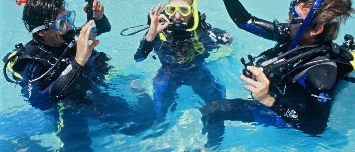 Padi discover scuba diving