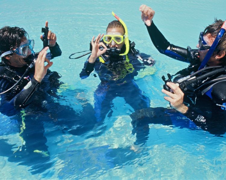 Padi discover scuba diving