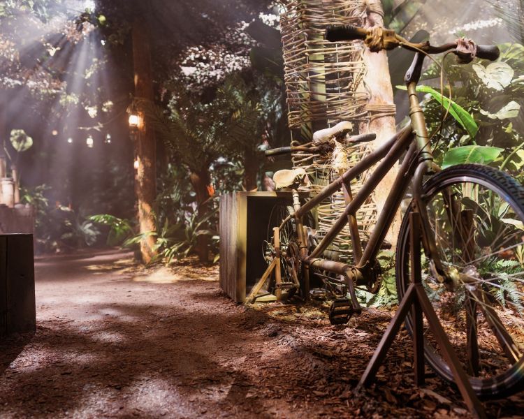 paddington bear experience in london