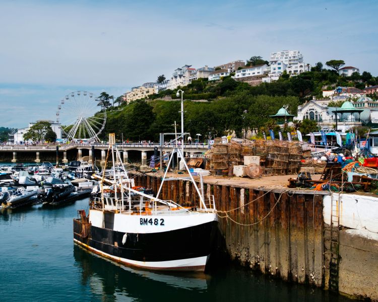 Yachts in torquay harbour on a bright sunny day