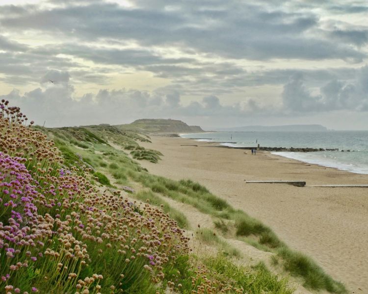 Bournemouth beach on a sunny day