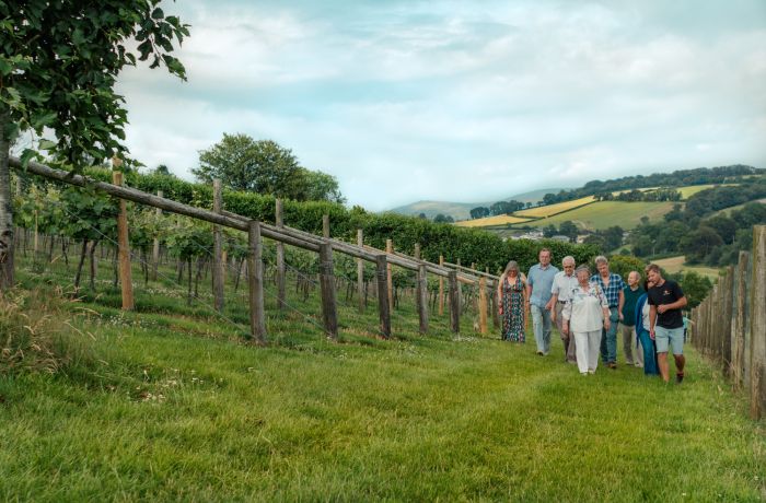 group of people on a tour of a vineyard in devon