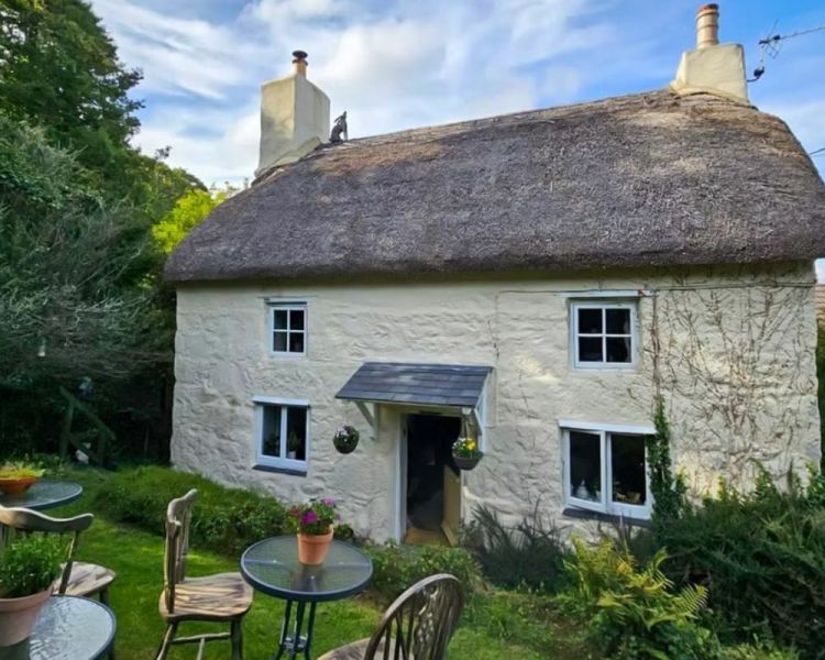 Blooming tea garden cottage