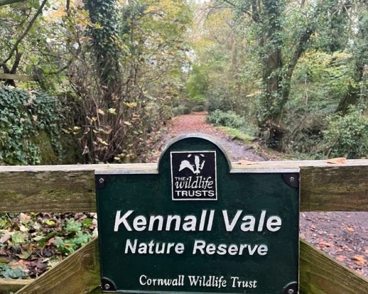 Kennall Vale nature reserve