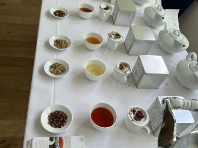 samples of loose leaf tea set out on a table for a tea tasting experience