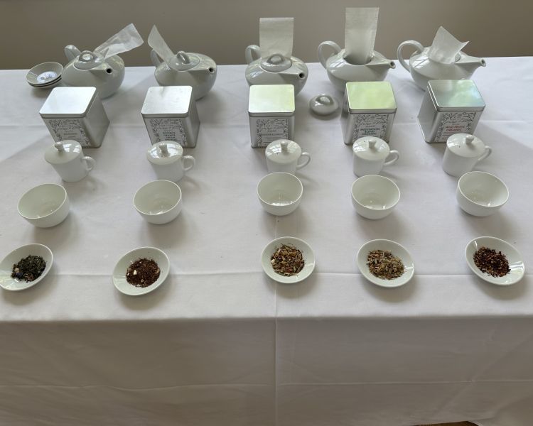samples of loose leaf tea set out on a table for a tea tasting experience