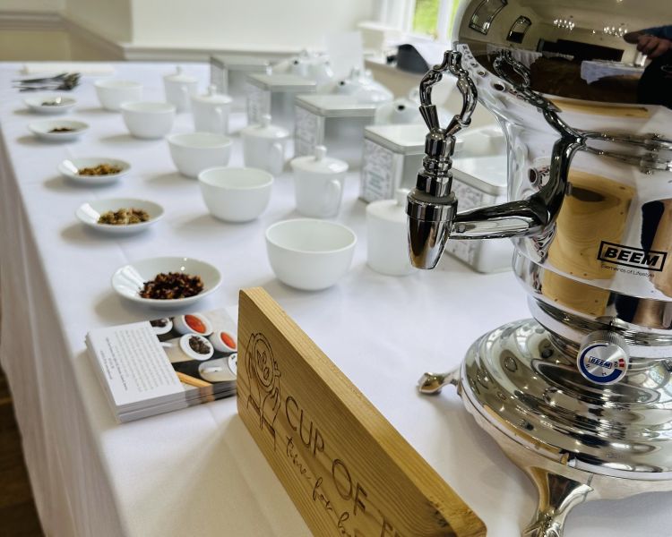 samples of loose leaf tea and a hot water kettle set out on a table for a tea tasting experience
