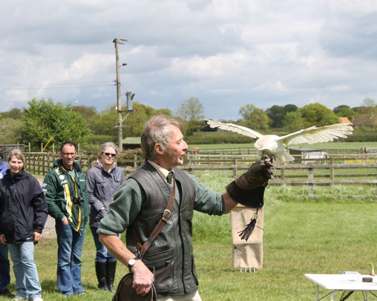 a demonstrator handling a bird of prey while spectators look on as part of a falconry experience available nationwide