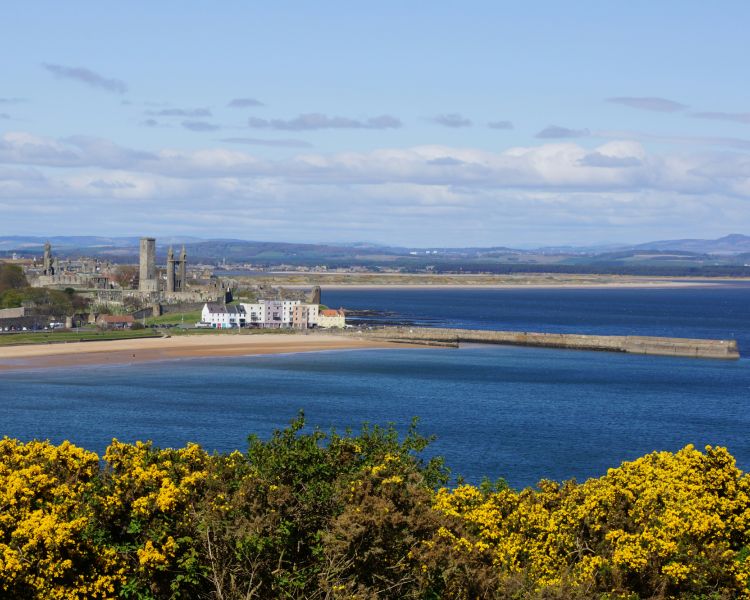 St Andrews Coastal...