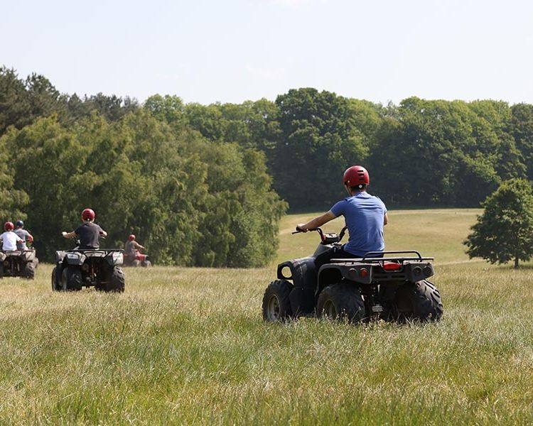 Quad safari
